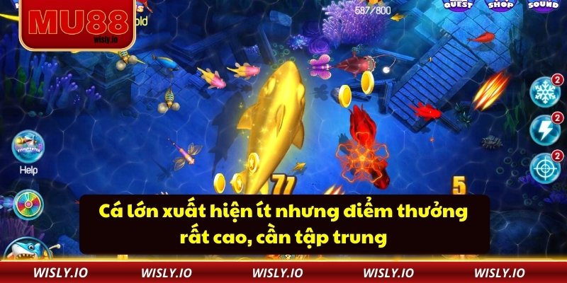 Cá lớn xuất hiện ít nhưng điểm thưởng rất cao, cần tập trung