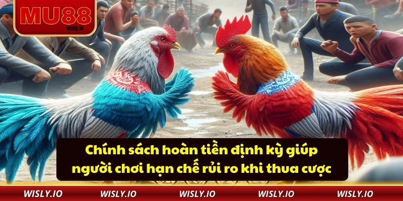 Đá Gà Mu88 Chính sách hoàn tiền định kỳ giúp người chơi hạn chế rủi ro khi thua cược