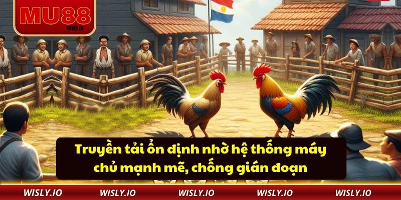 Đá Gà Mu88 Truyền tải ổn định nhờ hệ thống máy chủ mạnh mẽ, chống gián đoạn